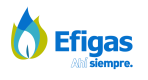 Logo-Efigas